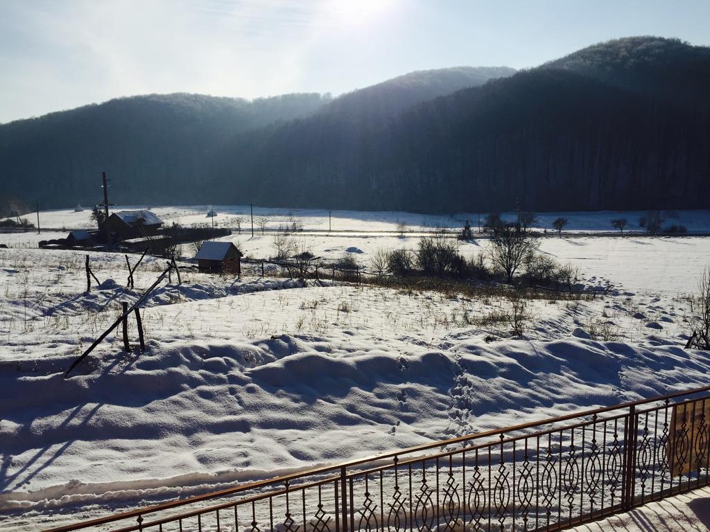 Solnce Karpat Villa Polyana  Dış mekan fotoğraf