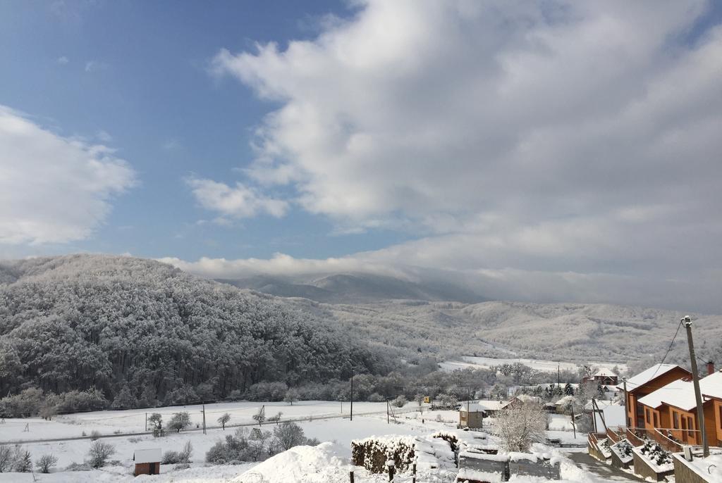 Solnce Karpat Villa Polyana  Dış mekan fotoğraf