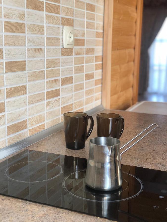 Solnce Karpat Villa Polyana  Dış mekan fotoğraf